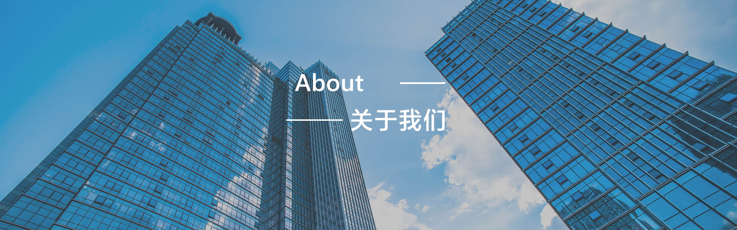 关于我们